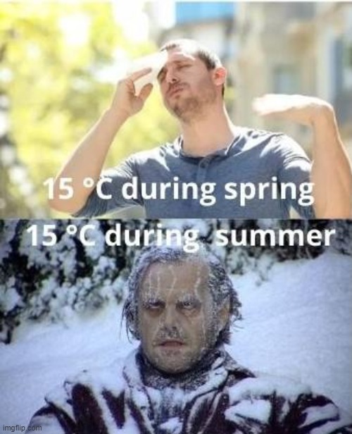 image tagged in memes | made w/ Imgflip meme maker