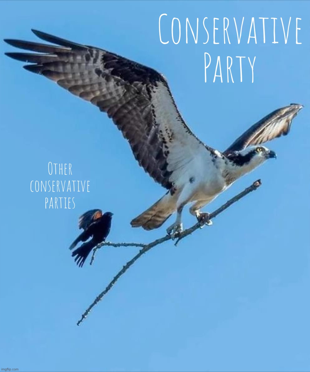 Don't settle for cheap imitations. Soar with Conservative Party. #underourwing | Conservative Party; Other conservative parties | image tagged in soaring eagle with bird in tow,conservative party,freedom,murica,'murica,freedom in murica | made w/ Imgflip meme maker