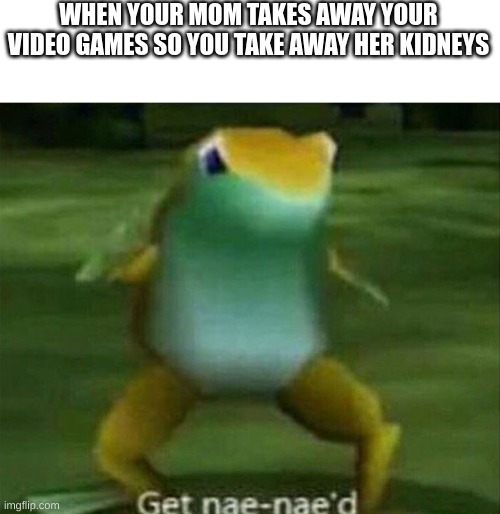 idk | WHEN YOUR MOM TAKES AWAY YOUR VIDEO GAMES SO YOU TAKE AWAY HER KIDNEYS | image tagged in get nae-nae'd,idk | made w/ Imgflip meme maker