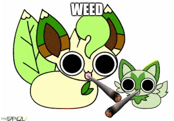 WEED | image tagged in leafeon and sprigatito | made w/ Imgflip meme maker