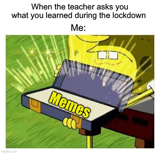 This is actually true for me | When the teacher asks you what you learned during the lockdown; Me:; Memes | image tagged in spongebob box,memes,funny,true story,relatable memes,hell yes | made w/ Imgflip meme maker