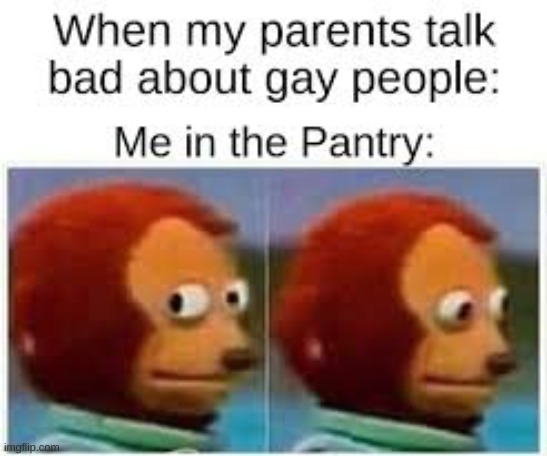 image tagged in lgbtq,in the closet | made w/ Imgflip meme maker