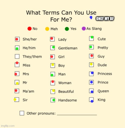 Pronouns Sheet | ONLY MY BF | image tagged in pronouns sheet | made w/ Imgflip meme maker