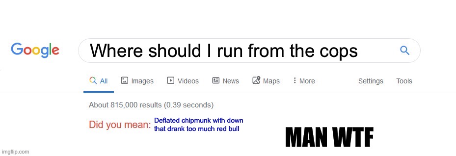 Bro Google broken | Where should I run from the cops; Deflated chipmunk with down that drank too much red bull; MAN WTF | image tagged in did you mean | made w/ Imgflip meme maker