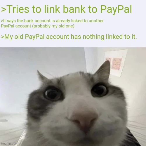 well dam | >Tries to link bank to PayPal; >It says the bank account is already linked to another 
PayPal account (probably my old one); >My old PayPal account has nothing linked to it. | image tagged in green text cat | made w/ Imgflip meme maker