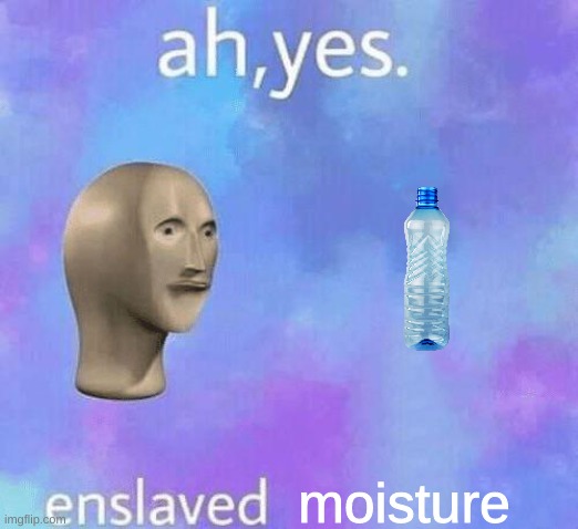 Ah Yes enslaved | moisture | image tagged in ah yes enslaved | made w/ Imgflip meme maker