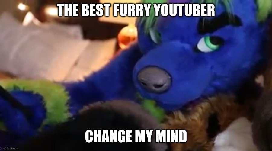 Odin Wolf!!! | THE BEST FURRY YOUTUBER; CHANGE MY MIND | image tagged in odin wolf wut | made w/ Imgflip meme maker