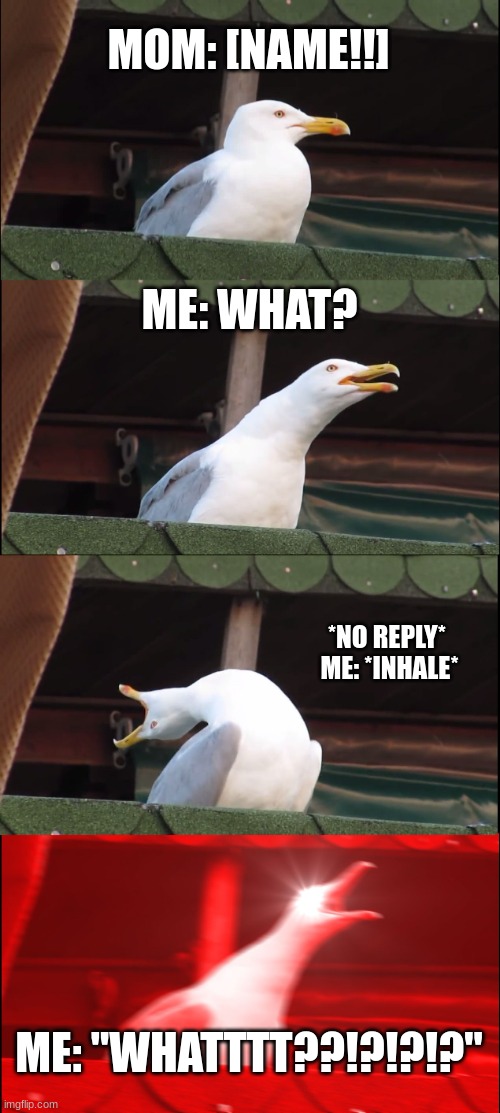 MOMMMM | MOM: [NAME!!]; ME: WHAT? *NO REPLY* 
ME: *INHALE*; ME: "WHATTTT??!?!?!?" | image tagged in memes,inhaling seagull | made w/ Imgflip meme maker