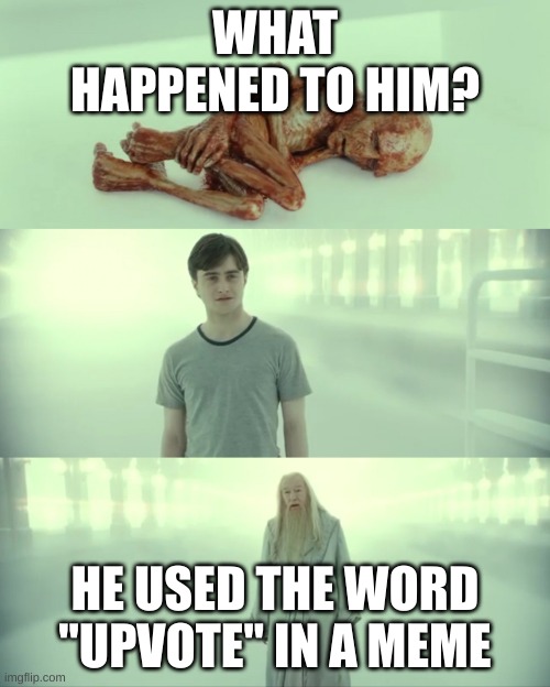 Harry Potter and Dumbledore | WHAT HAPPENED TO HIM? HE USED THE WORD "UPVOTE" IN A MEME | image tagged in harry potter and dumbledore | made w/ Imgflip meme maker
