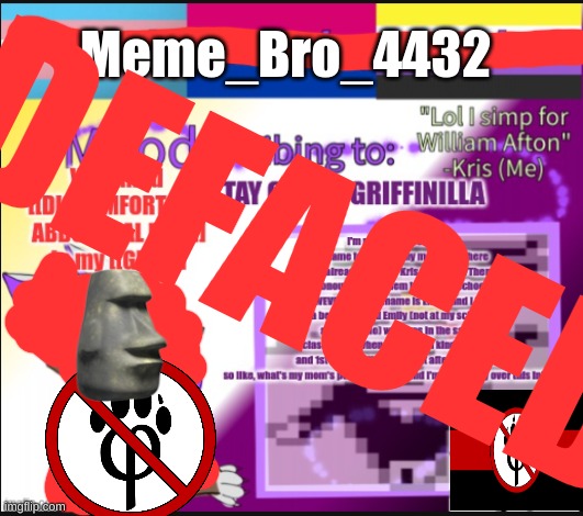 IM BACK BABY WOOOOOOOOOOOOO | Meme_Bro_4432; DEFACED | image tagged in memebro is back | made w/ Imgflip meme maker