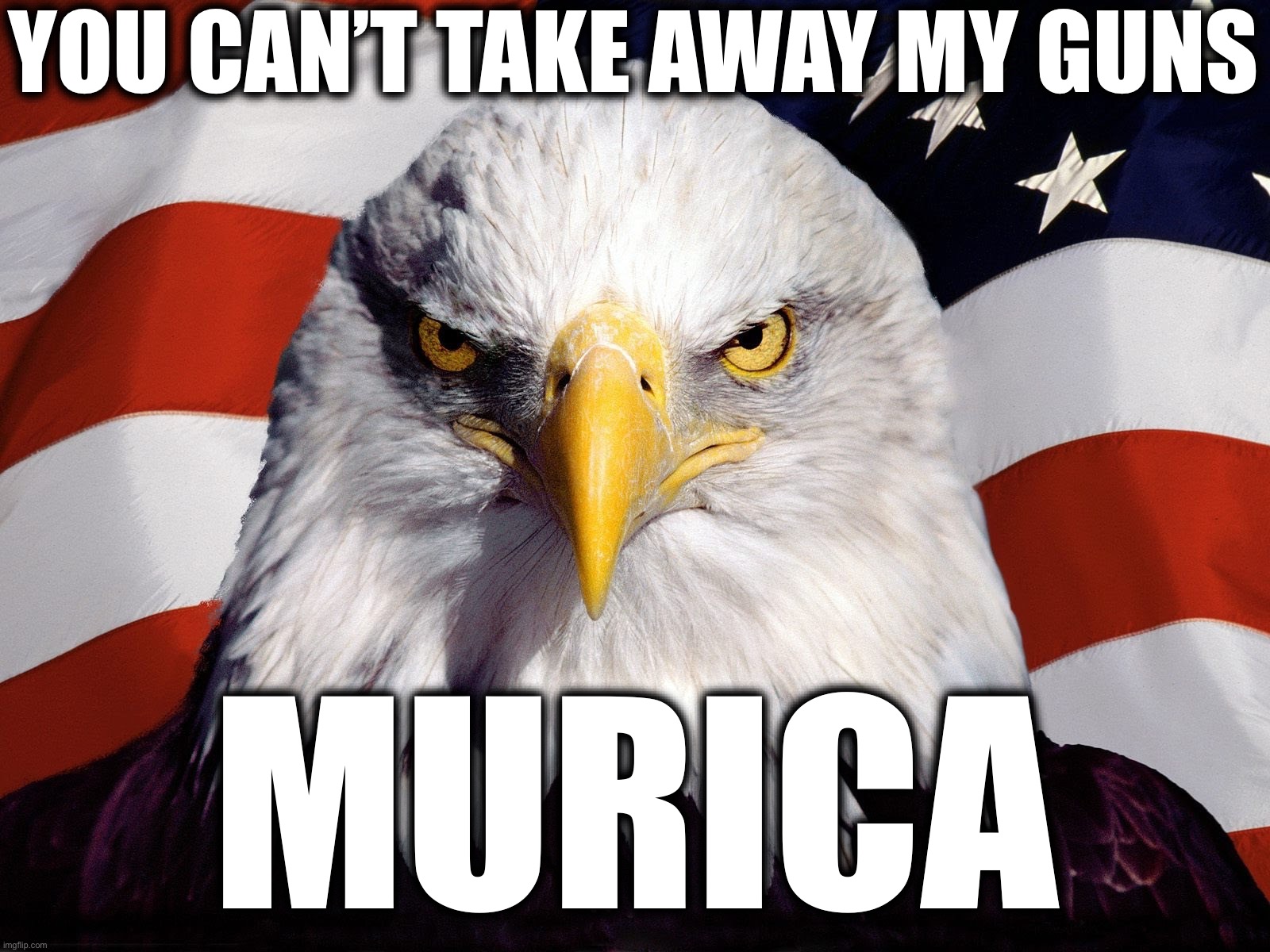 Freedom Eagle | YOU CAN’T TAKE AWAY MY GUNS; MURICA | image tagged in freedom eagle | made w/ Imgflip meme maker
