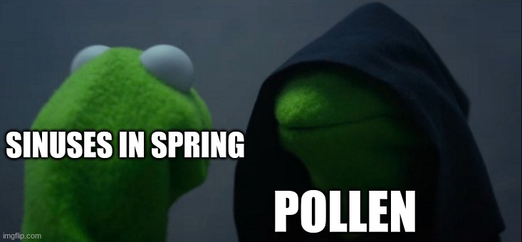 Sinuses beware! It's Pollen Season! | SINUSES IN SPRING; POLLEN | image tagged in memes,evil kermit | made w/ Imgflip meme maker