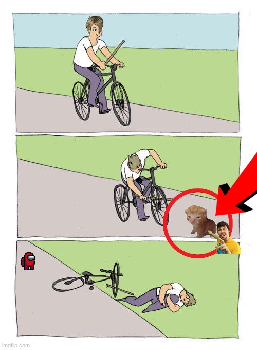 OMG THERES A CAT | image tagged in memes,bike fall | made w/ Imgflip meme maker