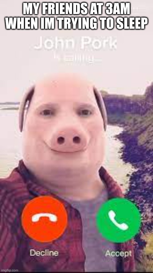 john pork | MY FRIENDS AT 3AM WHEN IM TRYING TO SLEEP | image tagged in john pork | made w/ Imgflip meme maker
