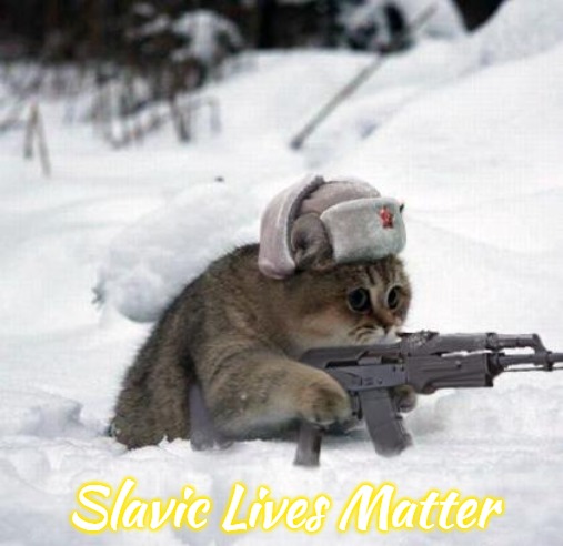 Cute Sad Soviet War Kitten | Slavic Lives Matter | image tagged in cute sad soviet war kitten,slavic,russia | made w/ Imgflip meme maker