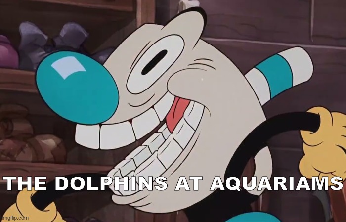 Usually kids just run to the dolphins | THE DOLPHINS AT AQUARIAMS | image tagged in cuphead,dolphins | made w/ Imgflip meme maker