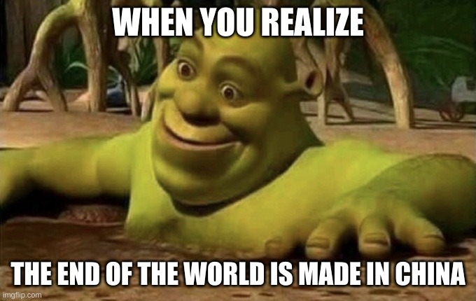Shocked Shrek | WHEN YOU REALIZE; THE END OF THE WORLD IS MADE IN CHINA | image tagged in shocked shrek | made w/ Imgflip meme maker