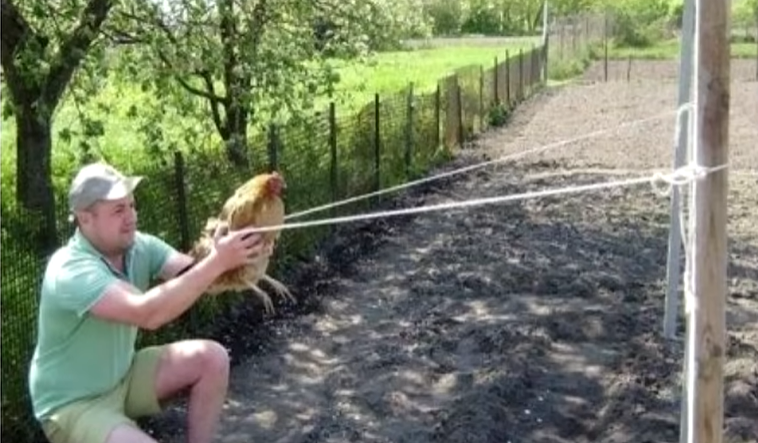 Man shooting a chicken. Blank Meme Template