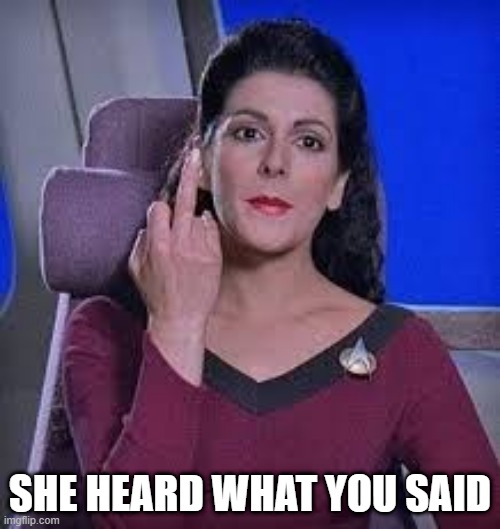 Counselor Oh Boy | SHE HEARD WHAT YOU SAID | image tagged in star trek,troi | made w/ Imgflip meme maker