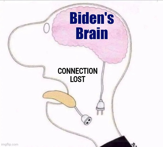 Biden's Brain CONNECTION LOST | made w/ Imgflip meme maker