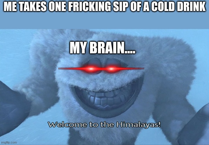 brain freez be like..... | ME TAKES ONE FRICKING SIP OF A COLD DRINK; MY BRAIN.... | image tagged in welcome to the himalayas | made w/ Imgflip meme maker