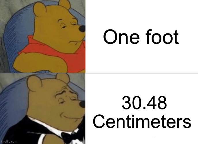 Tuxedo Winnie The Pooh | One foot; 30.48 Centimeters | image tagged in memes,tuxedo winnie the pooh | made w/ Imgflip meme maker