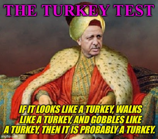 The turkey test | THE TURKEY TEST; IF IT LOOKS LIKE A TURKEY, WALKS LIKE A TURKEY, AND GOBBLES LIKE A TURKEY, THEN IT IS PROBABLY A TURKEY. | image tagged in sultan erdogan | made w/ Imgflip meme maker