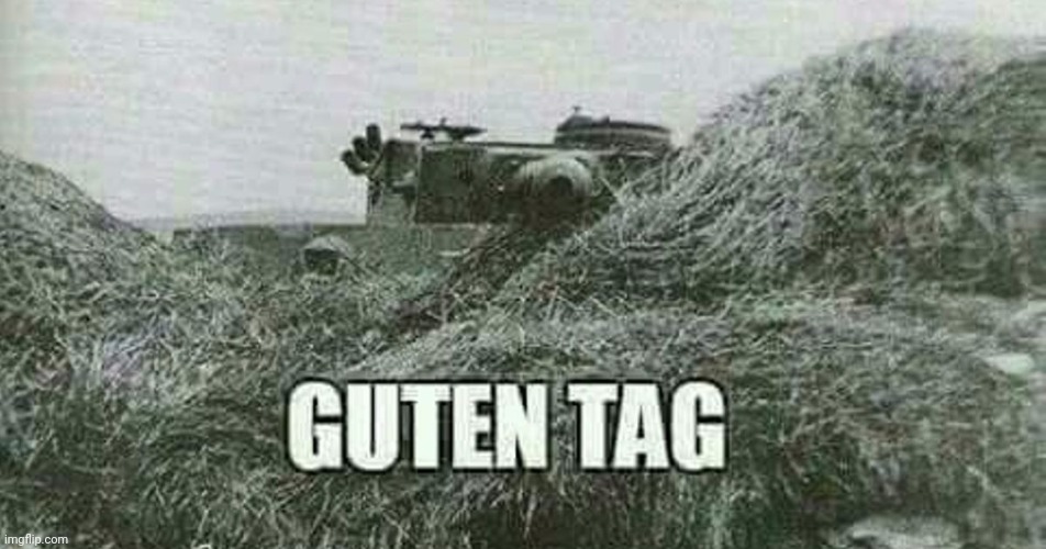 German guten tag tiger | image tagged in german guten tag tiger | made w/ Imgflip meme maker