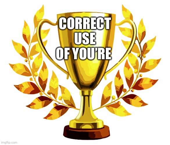 You Win! | CORRECT USE OF YOU’RE | image tagged in you win | made w/ Imgflip meme maker