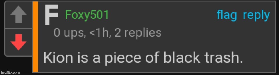 Used in comment | image tagged in racist foxy501 | made w/ Imgflip meme maker