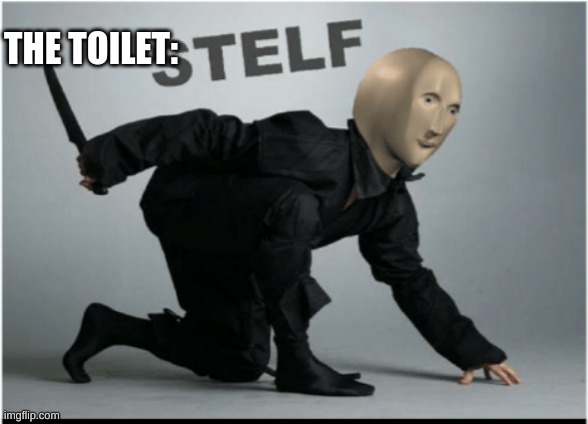 Stelf | THE TOILET: | image tagged in stelf | made w/ Imgflip meme maker