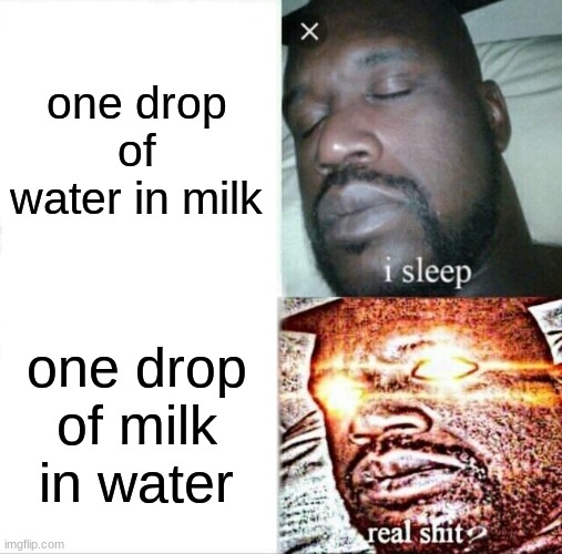 Sleeping Shaq | one drop of water in milk; one drop of milk in water | image tagged in memes,sleeping shaq | made w/ Imgflip meme maker