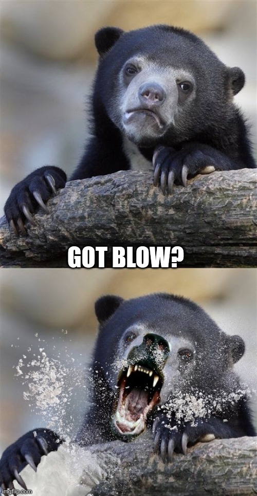 Cocaine Bear | GOT BLOW? | image tagged in confession bear,cocaine,cub,got milk | made w/ Imgflip meme maker
