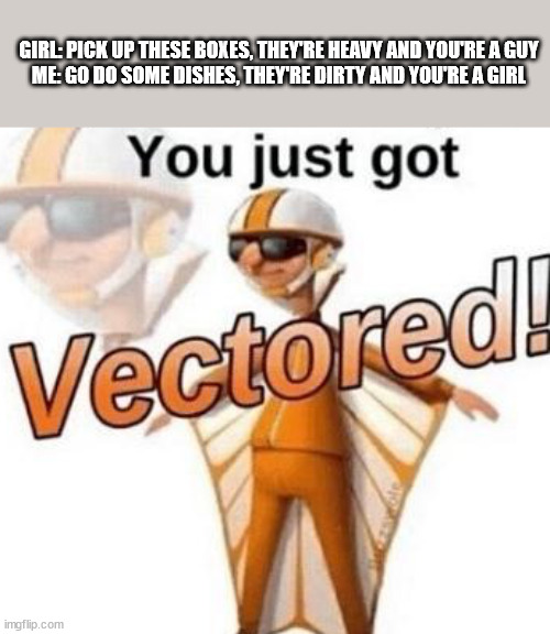 vectored | GIRL: PICK UP THESE BOXES, THEY'RE HEAVY AND YOU'RE A GUY

ME: GO DO SOME DISHES, THEY'RE DIRTY AND YOU'RE A GIRL | image tagged in you just got vectored | made w/ Imgflip meme maker