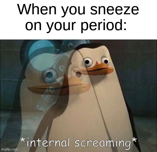 Private Internal Screaming | When you sneeze on your period: | image tagged in private internal screaming,period | made w/ Imgflip meme maker