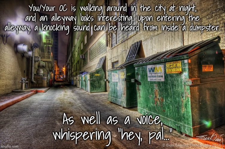 Introductory RP for a new OC! My usual rules apply. | You/Your OC is walking around in the city at night, and an alleyway looks interesting. Upon entering the alleyway, a knocking sound can be heard from inside a dumpster. As well as a voice, whispering "hey, pal..." | made w/ Imgflip meme maker