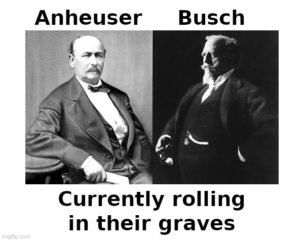 Sad Days for Anheuser-Busch | image tagged in bud light,get woke go broke | made w/ Imgflip meme maker