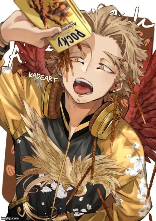 just a picture of hawks i found | made w/ Imgflip meme maker