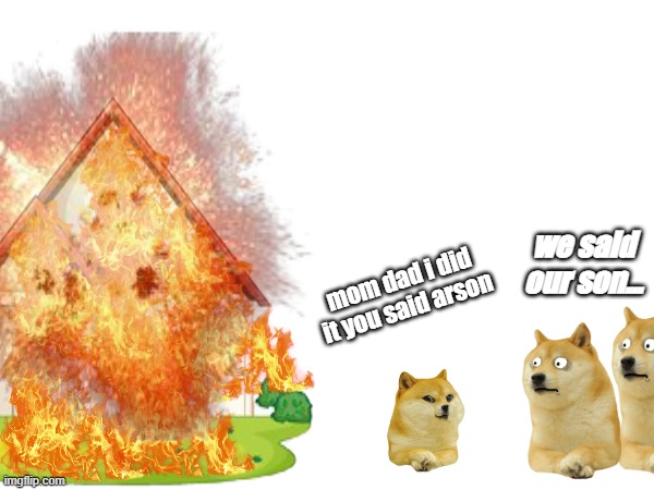 we said our son... mom dad i did it you said arson | image tagged in doge | made w/ Imgflip meme maker