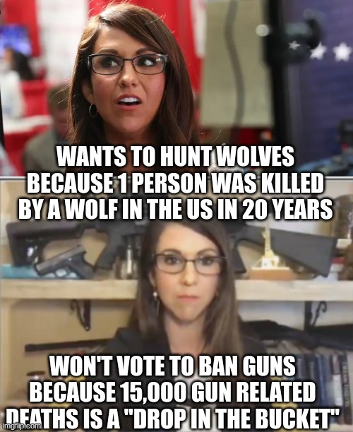 Bobo just wants to shoot stuff | WANTS TO HUNT WOLVES BECAUSE 1 PERSON WAS KILLED BY A WOLF IN THE US IN 20 YEARS; WON'T VOTE TO BAN GUNS BECAUSE 15,000 GUN RELATED DEATHS IS A "DROP IN THE BUCKET" | image tagged in lauren boebert,lauren boebert gun nut | made w/ Imgflip meme maker