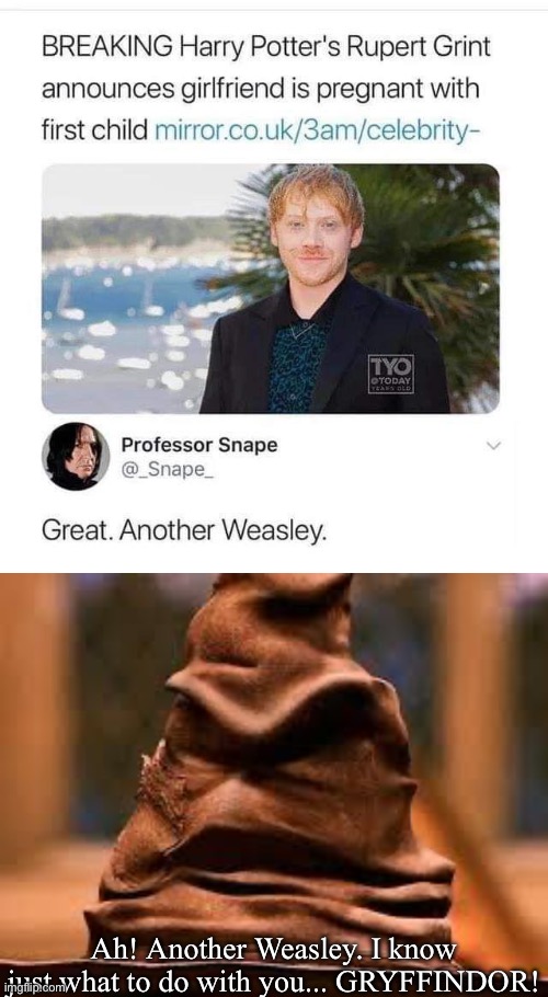 Another Weasley | Ah! Another Weasley. I know just what to do with you... GRYFFINDOR! | image tagged in harry potter sorting hat,ron weasley,gryffindor,harry potter | made w/ Imgflip meme maker