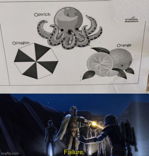 One of them is messed up: That's not an ostrich. | image tagged in failure,octagon,oranges,you had one job,memes,octopus | made w/ Imgflip meme maker