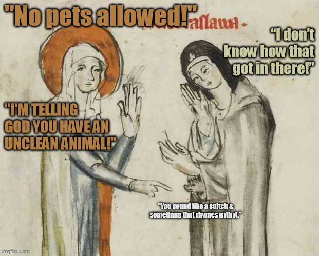 St. Francis Must Hate Her... | “I don’t know how that got in there!”; "No pets allowed!"; "I'M TELLING GOD YOU HAVE AN UNCLEAN ANIMAL!"; "You sound like a snitch & something that rhymes with it." | image tagged in 'st hedwig discovering that a nun has a hedgehog | made w/ Imgflip meme maker