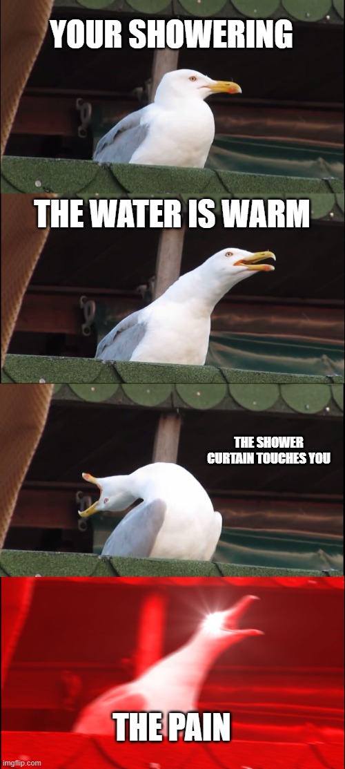 Yes | YOUR SHOWERING; THE WATER IS WARM; THE SHOWER CURTAIN TOUCHES YOU; THE PAIN | image tagged in memes,inhaling seagull | made w/ Imgflip meme maker