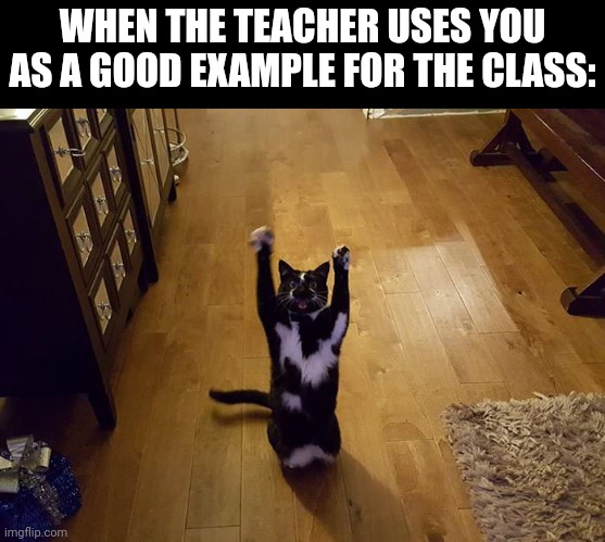 Ah, euphoria | WHEN THE TEACHER USES YOU AS A GOOD EXAMPLE FOR THE CLASS: | image tagged in yipeee cat | made w/ Imgflip meme maker