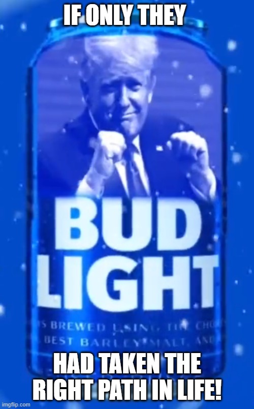 The Right Stuff | IF ONLY THEY; HAD TAKEN THE RIGHT PATH IN LIFE! | image tagged in donald trump,trump,donald trump approves,bud light,budweiser | made w/ Imgflip meme maker