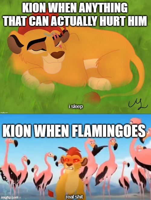Sleeping Kion | KION WHEN ANYTHING THAT CAN ACTUALLY HURT HIM; KION WHEN FLAMINGOES | image tagged in sleeping kion | made w/ Imgflip meme maker
