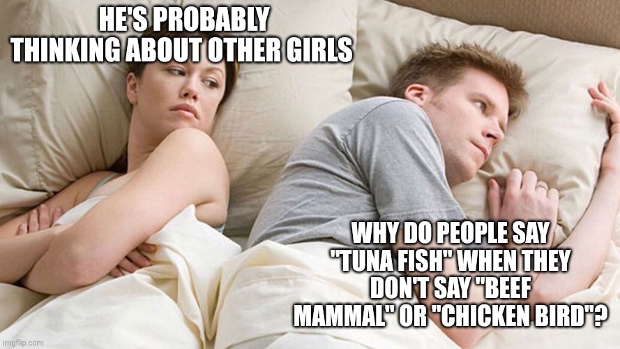 He's probably thinking about girls | HE'S PROBABLY THINKING ABOUT OTHER GIRLS; WHY DO PEOPLE SAY "TUNA FISH" WHEN THEY DON'T SAY "BEEF MAMMAL" OR "CHICKEN BIRD"? | image tagged in he's probably thinking about girls | made w/ Imgflip meme maker