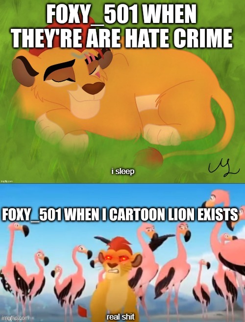 foxy's L was so big, i fixed one of his memes | FOXY_501 WHEN THEY'RE ARE HATE CRIME; FOXY_501 WHEN I CARTOON LION EXISTS | image tagged in sleeping kion | made w/ Imgflip meme maker