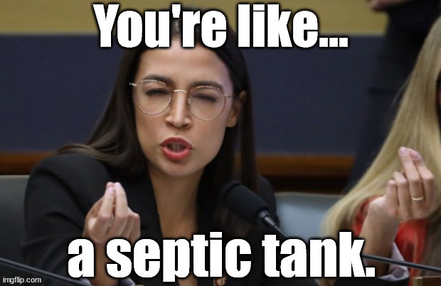 aoc Thinks you're full of Feces | image tagged in aoc thinks you're full of feces | made w/ Imgflip meme maker